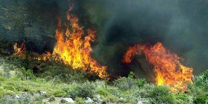 φωτιά στη Μεσσηνία