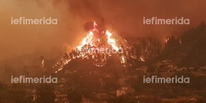 H φωτιά στις Γούβες, Ευβοίας