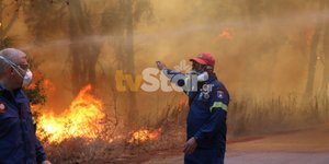 Πυροσβέστες στην φωτιά στον Θεολόγο