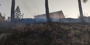 Στις αυλές των σπιτιών έφτασε η φωτιά στη Ζάκυνθο