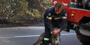 πυροσβέστης με σκυλί
