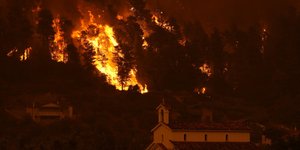 Η φωτιά στην Β.Εύβοια κατέστρεψε τα πάντα 