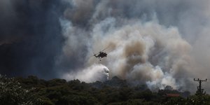 Φωτιά σε δασική περιοχή