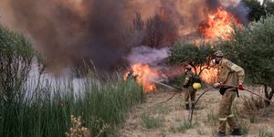 Ηλεία πυροσβέστες φωτιά