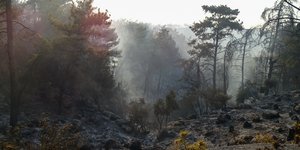 Φωτιά στη Ρόδο