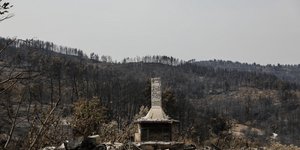 Φωτιά στην Εύβοια