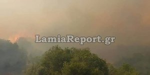 Μαίνεται η φωτιά που ξέσπασε στο Λογγίτσι της ανατολικής Φθιώτιδας