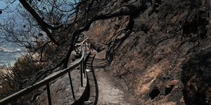 Οι τραγικές συνέπειες της φωτιάς