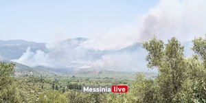Φωτιά στη Μεσσηνία
