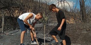 δεντροφύτευση Αρχαία Ολυμπία