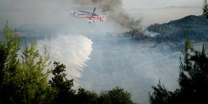 ελικοπτερο πεύκο