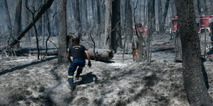 πυροσβέστης καμένα δέντρα φωτιά στη Βαρυμπόμπη