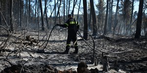 πυροσβέστης με μάνικα στα κάμενα δέντρα στην Πάρνηθα