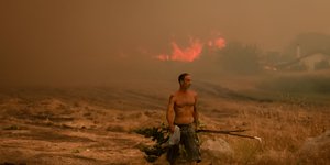 Πυρκαγιά στην Εύβοια