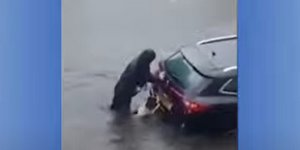 Σκύλος σπρώχνει αυτοκίνητο να ξεκολλήσει από την πλημμύρα