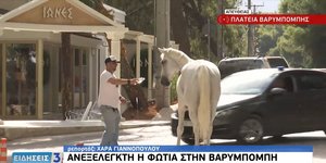 Αλογα τρέχουν να σωθούν από τη φωτιά στη Βαρυμπόμπη