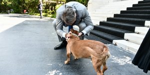 Ο Κυριάκος Μητσοτάκης με τον σκύλο Πίνατ