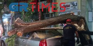 Το δέντρο που έπεσε στο όχημα