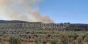 φωτιά στην Αταλάντη 25/9/2021