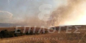 Φωτιά στην Αλιστράτη Σερρών