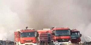Φωτιά στον Ελαιώνα, πυροσβεστικά οχήματα