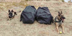 Οι δυο σάκοι με την κάνναβη 