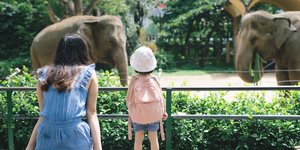 Ζωολογικός κήπος ελέφαντες 