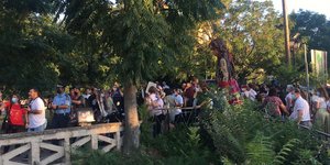 μαριονέτα Αμάλ