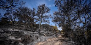 nea-makri