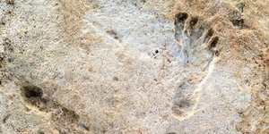 Oι αρχαιότερες πατημασιές στην Αμερική