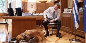 Ο πρωθυπουργός Κυριάκος Μητσοτάκης στο γραφείο του με τον σκύλο Πίνατς