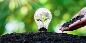 renewable