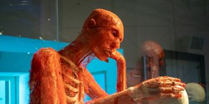 BODY WORLDS