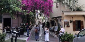 βουκαμβιλιες πλακα