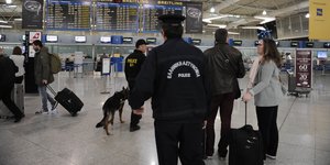 αστυνομια σκυλος