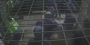 Επίθεση σε αστυνομικούς έξω από το γήπεδο του Παναθηναϊκού