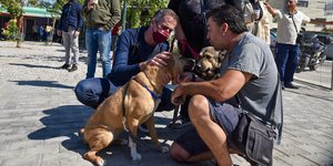 Κώστας Μπακογιάννης στο καταφύγιο του Σωκράτη