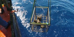 καλαθι αμφορεις