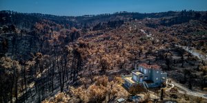 Καμμένες εκτάσεις από τις πυρκαγιές του Αυγούστου