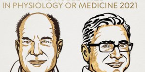 Οι νικητές του Νόμπελ Ιατρικής 2021 