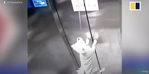 Το λουρί του σκύλου πιάστηκε στο ασανσέρ και παραλίγο να πεθάνει
