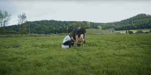 Ο Στέφανος Τσιτσιπάς αρμέγει