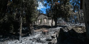 Tατόι
