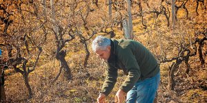 Θανος Καραθανος