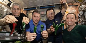 Aστροναύτες στον Διεθνή Διαστημικό Σταθμό δείχνουν τις πιπεριές τσίλι που καλλιέργησαν στο διάστημα 