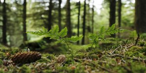 Οι δράσεις της L'Oreal Hellas 