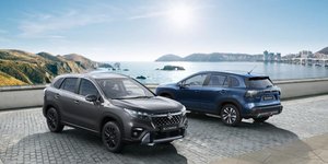 suzuki s cross