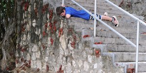 Αγοράκι παρακολουθεί τα κόκκινα καβούρια να μεταναστεύουν