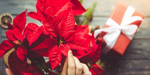 Αλεξανδρινό 