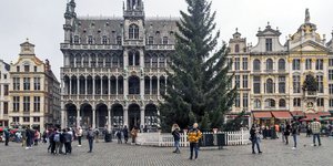 ECDC, χριστουγεννιάτικο δέντρο